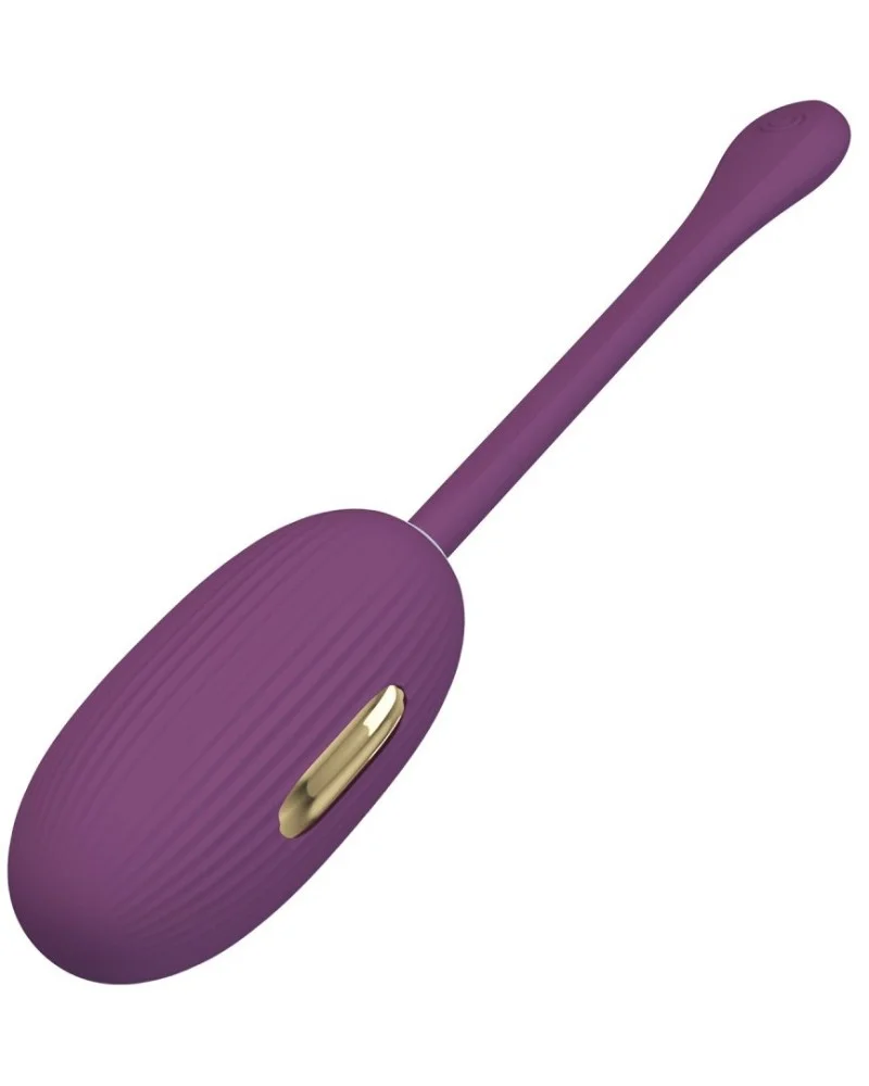 Oeuf Vibrant Électro Connecté Doreen 2 7.5 x 3.4cm Prune sextoys et accessoires sur La Boutique du Hard