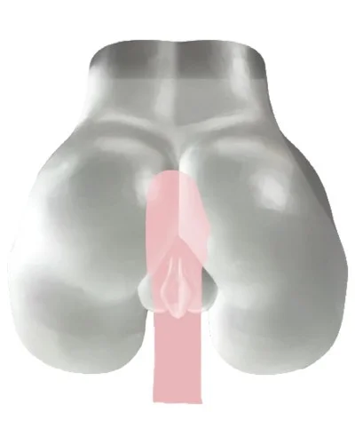 Masturbateur Fessier Fucking Pussy Transparent sextoys et accessoires sur La Boutique du Hard