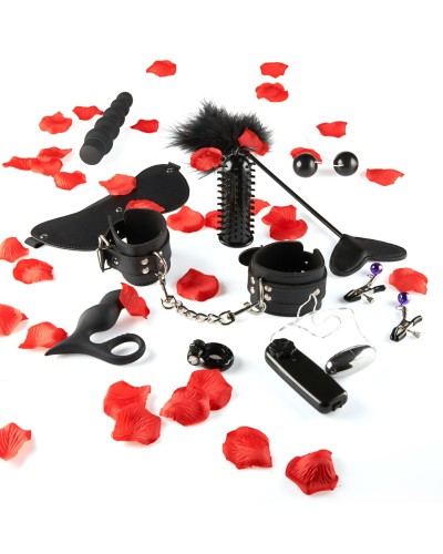 Pack Amazing Pleasure 10 Sextoys pas cher