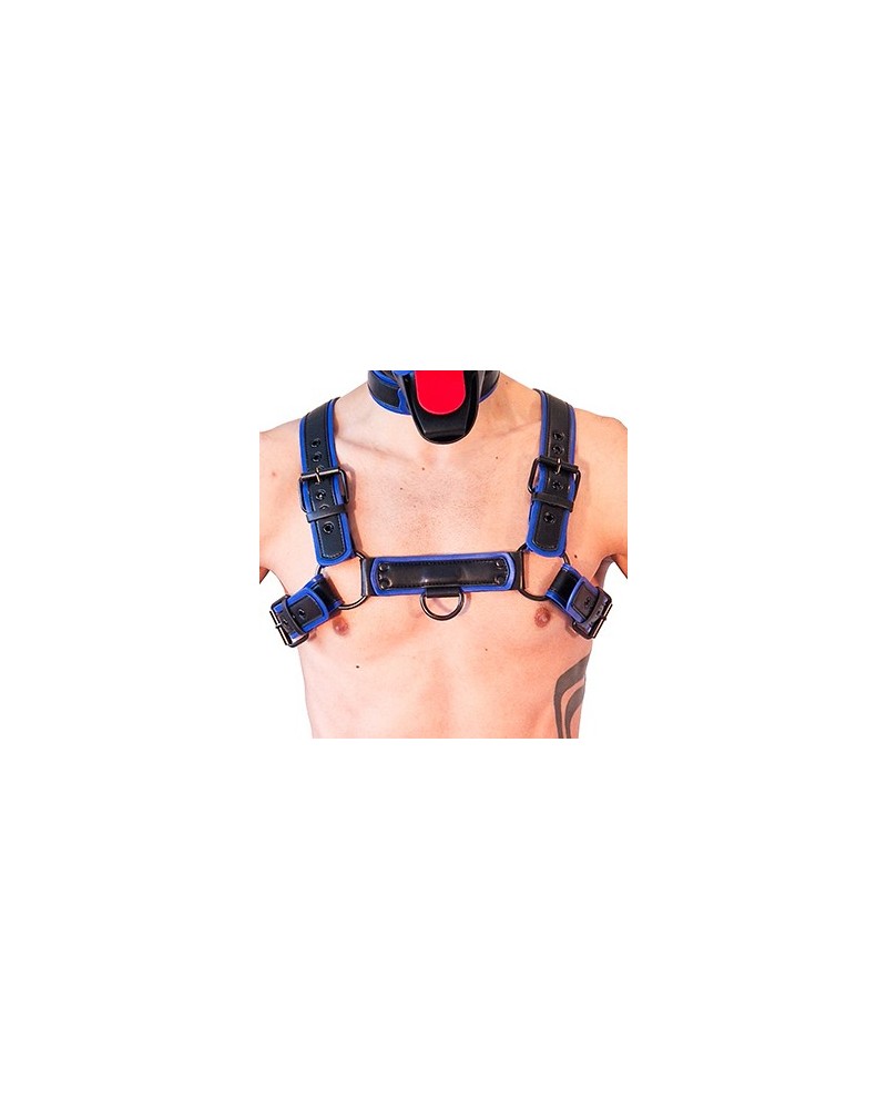 Harnais Puppy Harness Noir-Bleu sextoys et accessoires sur La Boutique du Hard