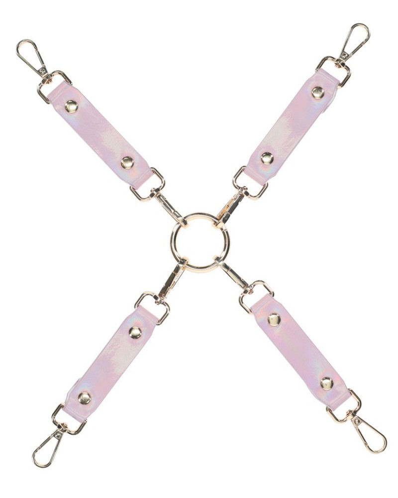 Hogtie Paris Rose sextoys et accessoires sur La Boutique du Hard