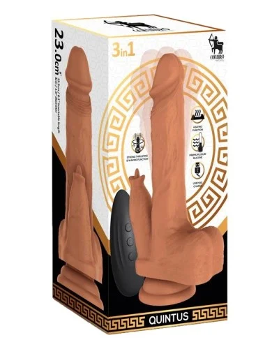 Gode Va-et-Vient Vibrant Quintus 17 x 4cm sextoys et accessoires sur La Boutique du Hard