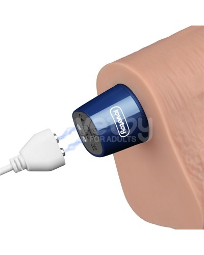 Gode Vibrant avec Bourses Softee 21 x 5.3cm Chair sextoys et accessoires sur La Boutique du Hard