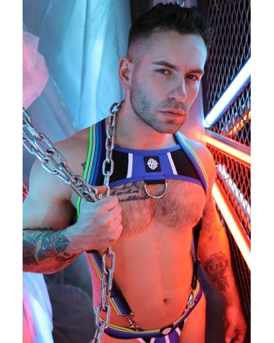 Harnais Retro Remix Bleu sextoys et accessoires sur La Boutique du Hard
