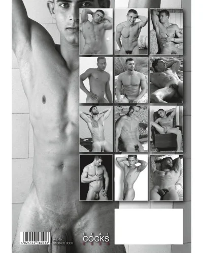 Calendrier 2026 Pin-up real cocks sextoys et accessoires sur La Boutique du Hard