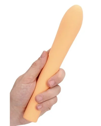 Stimulateur de Prostate Vibrant Peach Fuzz 21 x 4.1cm sextoys et accessoires sur La Boutique du Hard