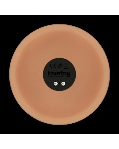 Gode Vibrant Power Basic 23 x 5.2cm sextoys et accessoires sur La Boutique du Hard