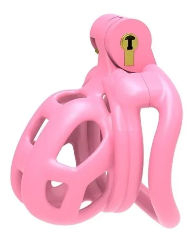 Cage Aspic S Rose 5 x 3.3cm sextoys et accessoires sur La Boutique du Hard