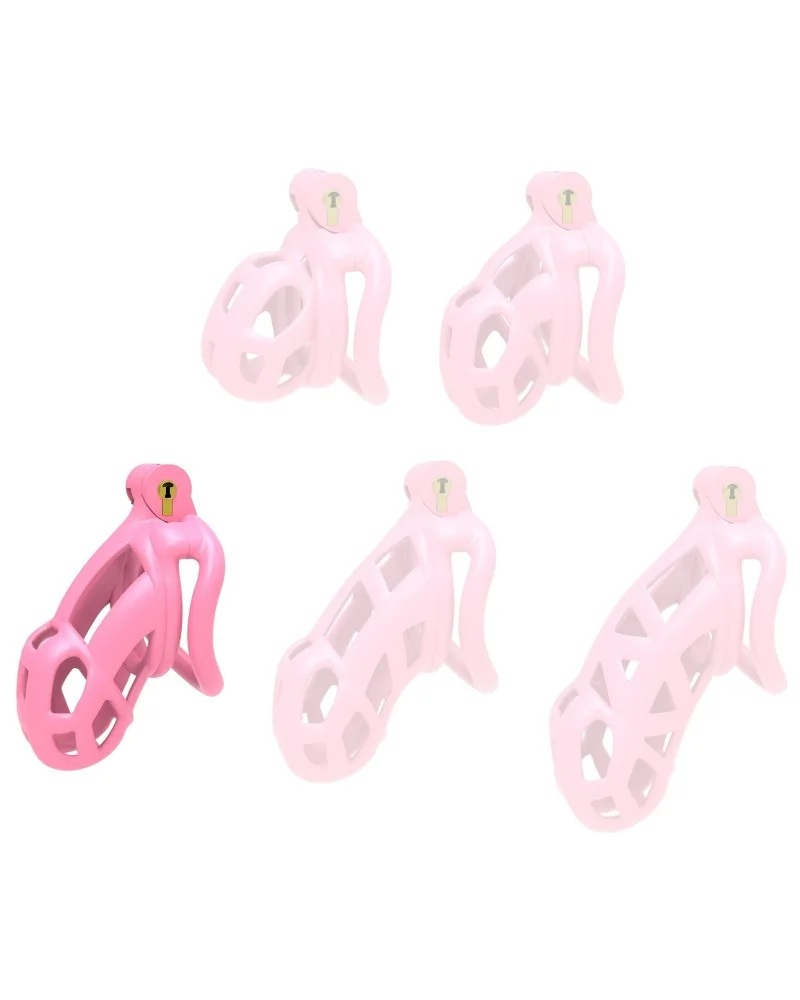 Cage Aspic L Rose 9.5 x 3.4cm sextoys et accessoires sur La Boutique du Hard