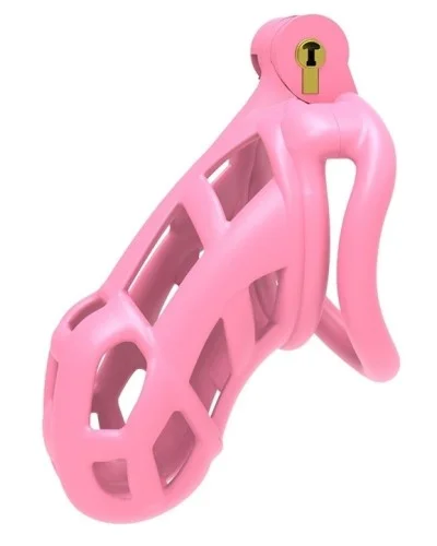 Cage Aspic XL Rose 10.5 x 3.7cm sextoys et accessoires sur La Boutique du Hard