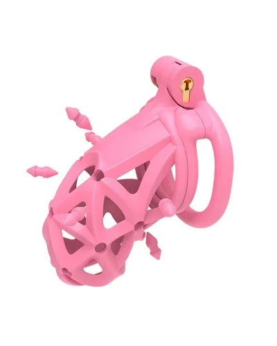 Cage Diapik Rose M 10 x 3.3cm sextoys et accessoires sur La Boutique du Hard