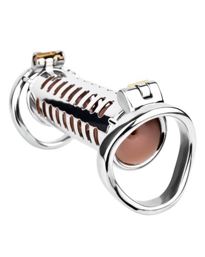 Double Cage Steelock 15 x 3.7cm sextoys et accessoires sur La Boutique du Hard