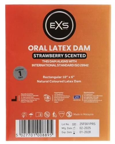 Digue orale en latex 10 x 6 cm Fraise sextoys et accessoires sur La Boutique du Hard