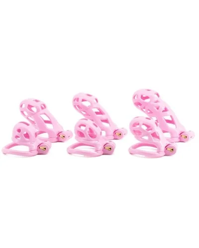 Cage Robat Rose S 4 x 3.3cm sextoys et accessoires sur La Boutique du Hard