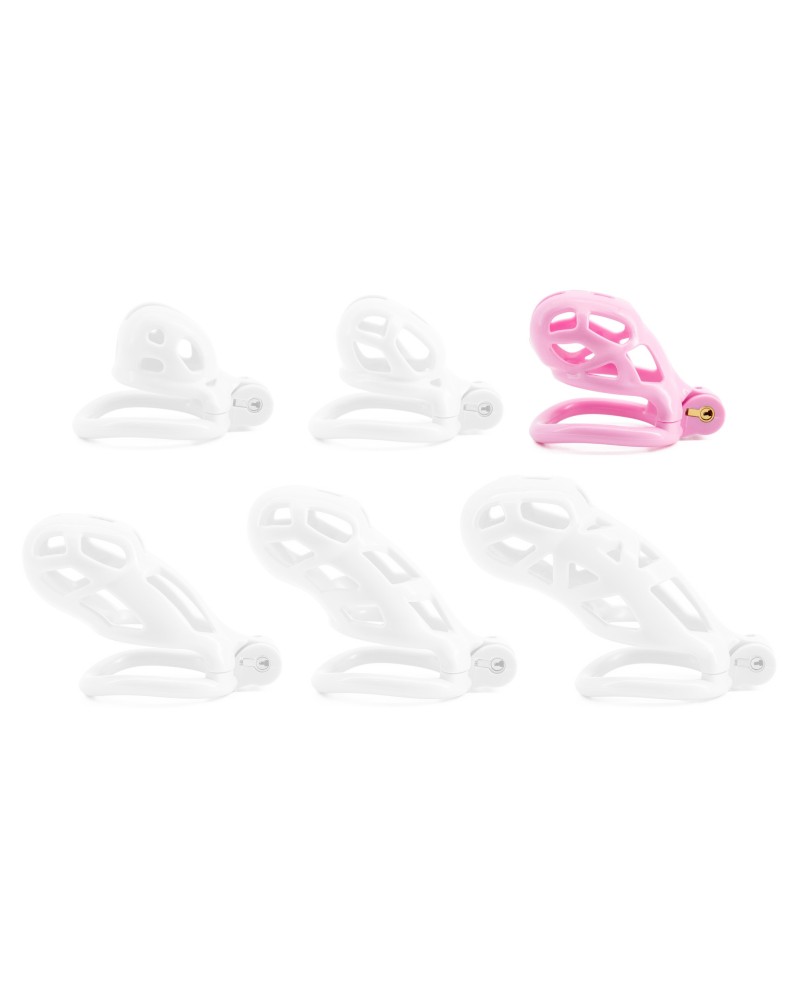 Cage Robat Rose L 6.5 x 3.7cm sextoys et accessoires sur La Boutique du Hard