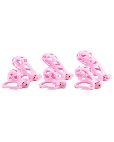 Cage Robat Rose L 6.5 x 3.7cm sextoys et accessoires sur La Boutique du Hard