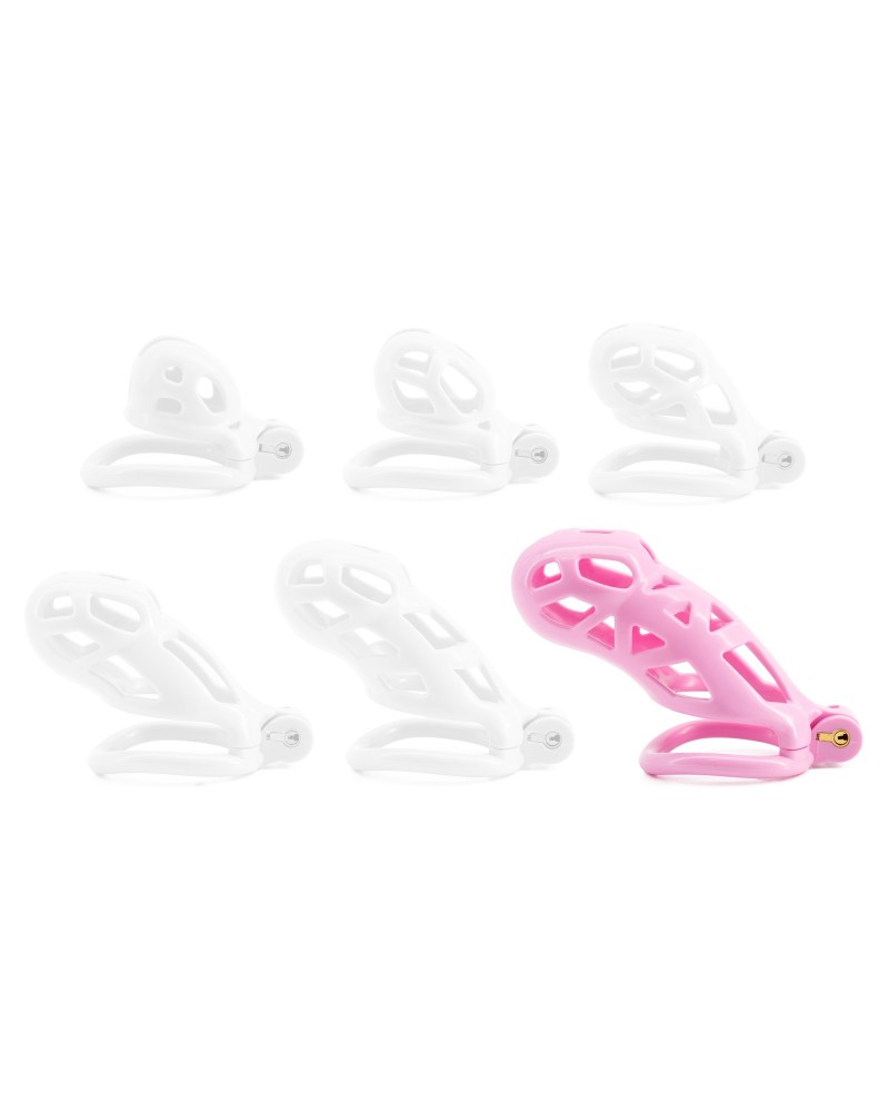 Cage Robat Rose 3XL 12 x 3.7cm sextoys et accessoires sur La Boutique du Hard