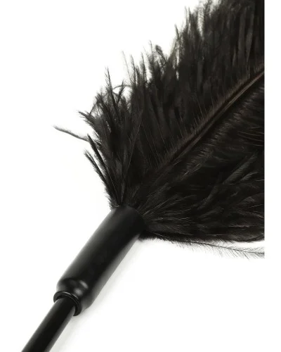 Plumeau Double Ticklers 66cm sextoys et accessoires sur La Boutique du Hard