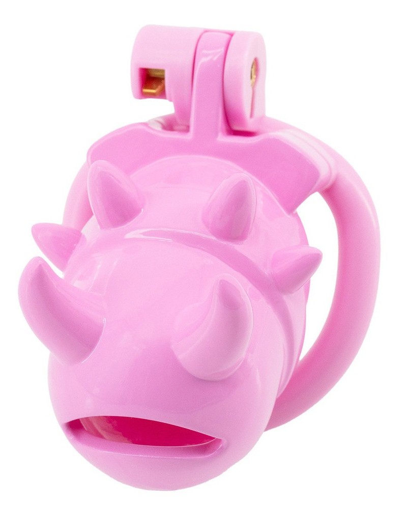 Cage Vikya 7.5 x 3.2 cm Rose sextoys et accessoires sur La Boutique du Hard