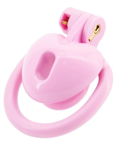 Cage Mini Heart 0.5 x 2.6 cm Rose sextoys et accessoires sur La Boutique du Hard