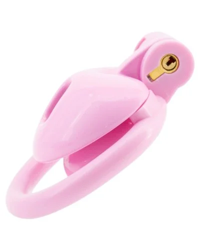 Cage Mini Heart 0.5 x 2.6 cm Rose sextoys et accessoires sur La Boutique du Hard