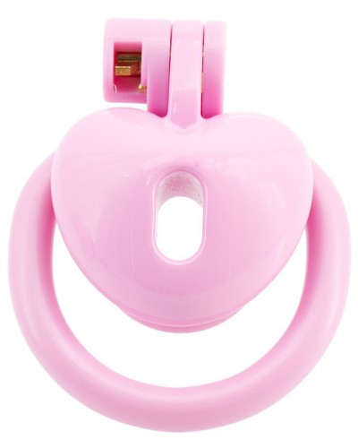 Cage Mini Heart 0.5 x 2.6 cm Rose sextoys et accessoires sur La Boutique du Hard