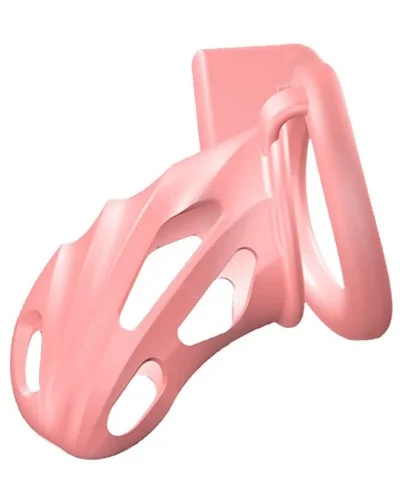 Cage Scallycock 10 x 3.5 cm Rose sextoys et accessoires sur La Boutique du Hard