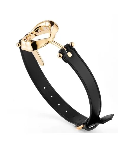 Bâillon Gold Lips - Ouverture 35mm sextoys et accessoires sur La Boutique du Hard