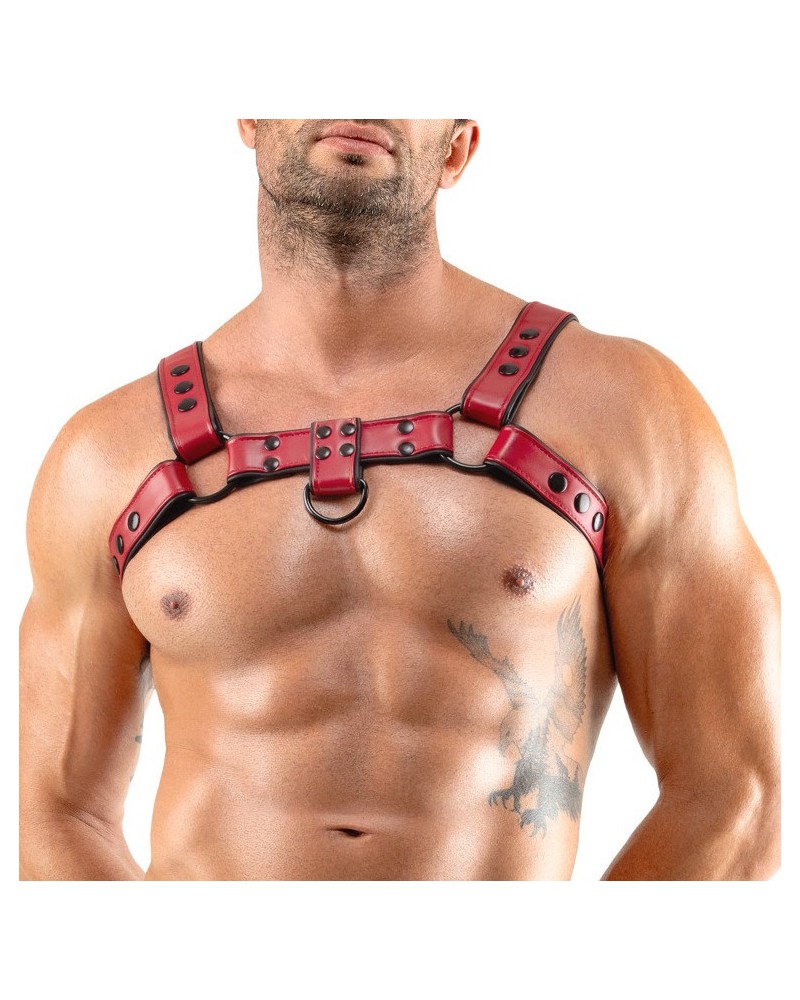 Harnais Chestty Rouge