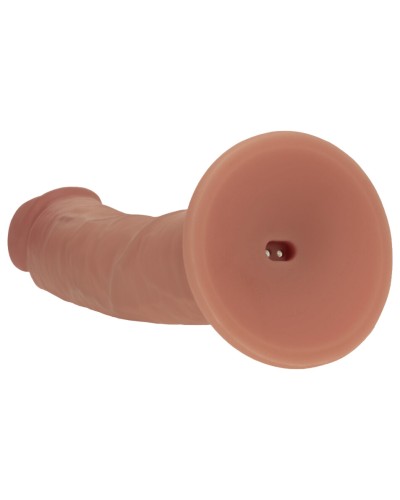 Gode vibrant Cesarino latino 21 x 4.5cm