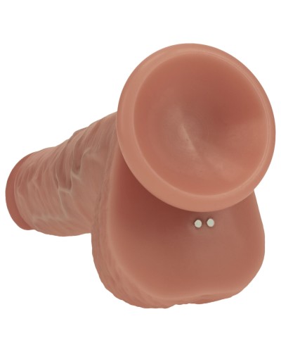 Gode vibrant va-et-vient Demetrio latino 16 x 4.3cm