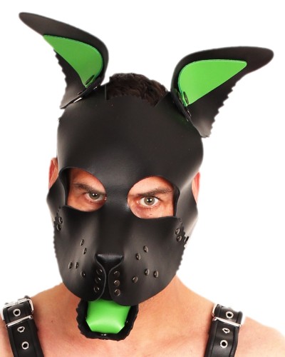 PUPPY SET OREILLES ET LANGUE EN CUIR VERT pas cher