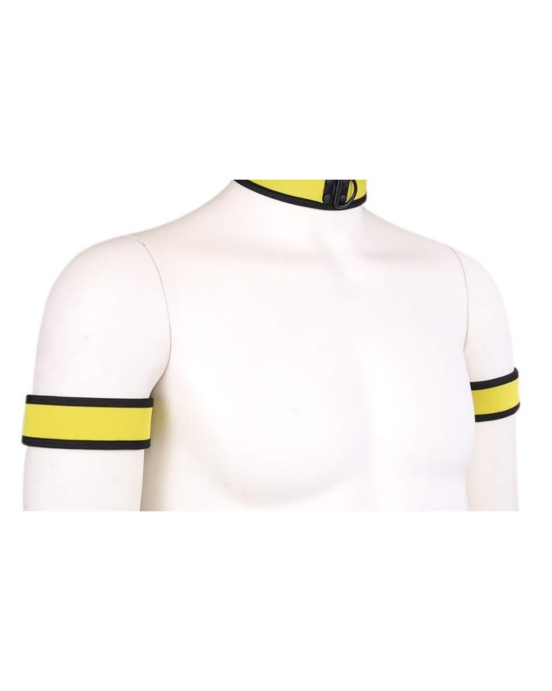 Brassards PUPPY NEoprene Jaune pas cher