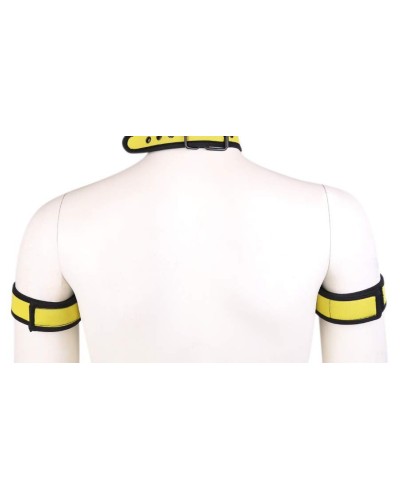 Brassards PUPPY NEoprene Jaune pas cher