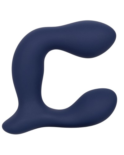 Stimulateur de prostate Expert Probe Viceroy 10 x 2.5cm pas cher