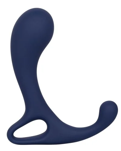 Stimulateur de prostate Direct Probe Viceroy 8 x 3cm pas cher