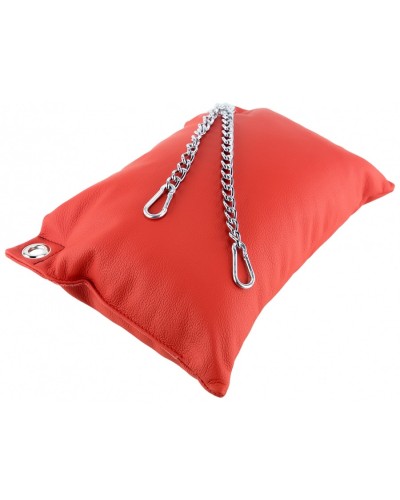 Coussin en cuir 20 x 25cm + Cha