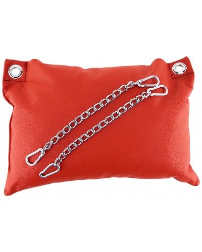 Coussin en cuir 20 x 25cm + Cha