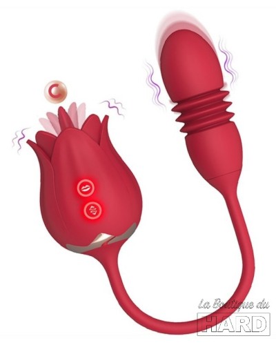 Stimulateur de clitoris et Point G Rose Egg 9 x 3cm pas cher