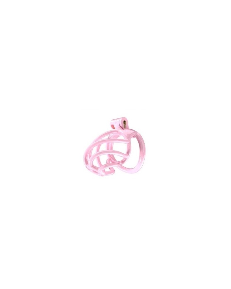 Cage de chasteté Tortille M 7 x 3.4 cm Rose sur la Boutique du Hard