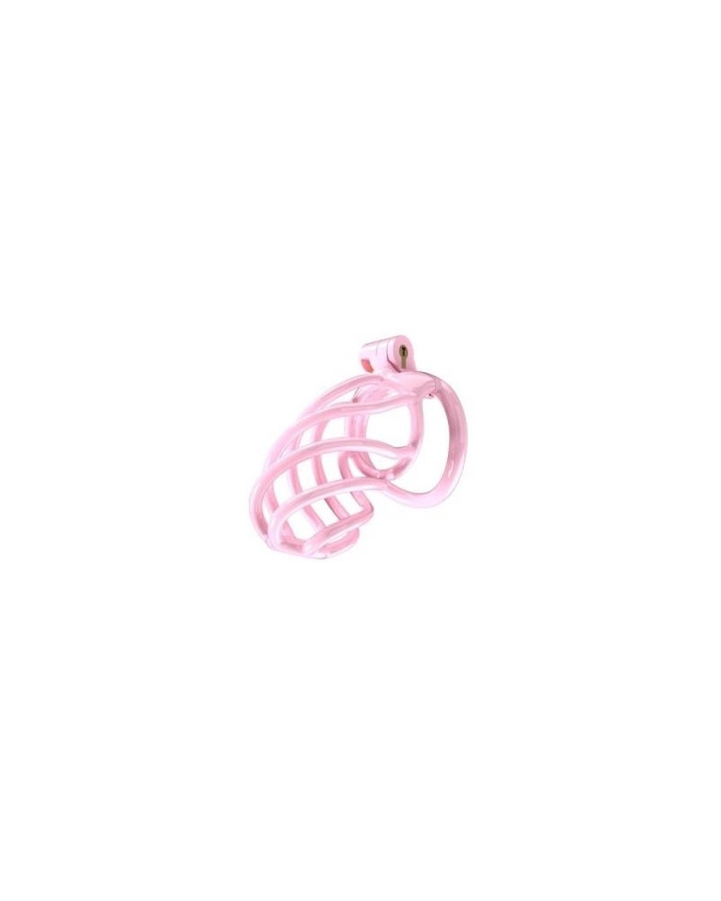 Cage de chasteté Tortille L 9.5 x 3.4 cm Rose sur la Boutique du Hard