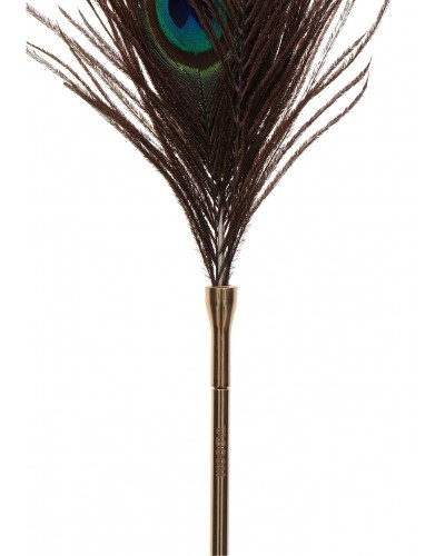 Tickle Peacock Taboom 42cm sur la Boutique du Hard