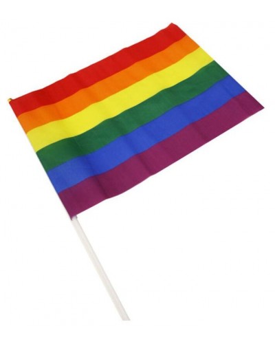 Drapeau Rainbow avec manche 30 x 43cm sur la Boutique du Hard