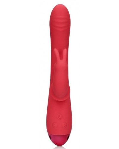 Vibro Swinging Rabbit 22 cm Rose sextoys et accessoires sur La Boutique du Hard