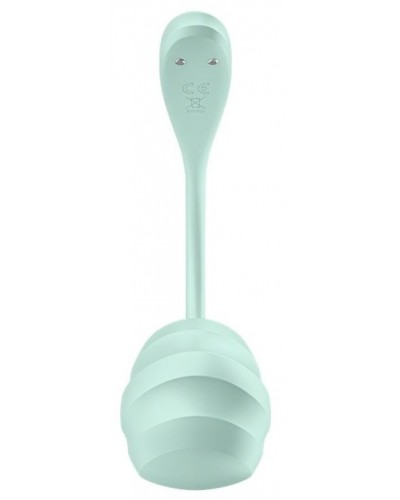 Vibromasseur Connecté Point G Smooth Petal 8.5 x 3.8cm Vert Menthe sextoys et accessoires sur La Boutique du Hard