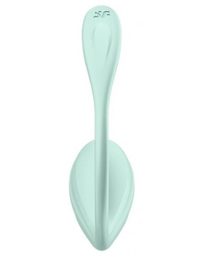 Vibromasseur Connecté Point G Smooth Petal 8.5 x 3.8cm Vert Menthe sextoys et accessoires sur La Boutique du Hard