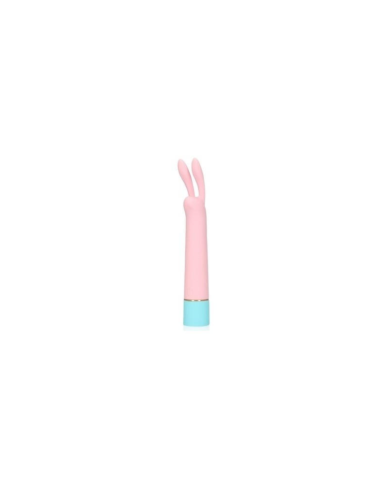 Mini-Vibro Little Rabbit 13 x 2.5cm sextoys et accessoires sur La Boutique du Hard