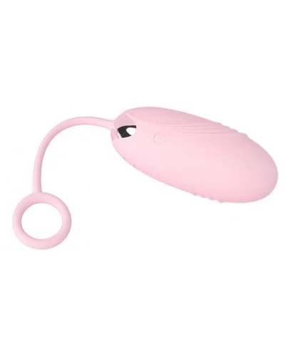 Oeuf Vibrant Sans Fil Pinkless 8 x 3cm sextoys et accessoires sur La Boutique du Hard