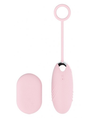 Oeuf Vibrant Sans Fil Pinkless 8 x 3cm sextoys et accessoires sur La Boutique du Hard