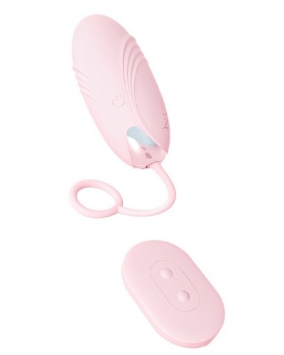 Oeuf Vibrant Sans Fil Pinkless 8 x 3cm sextoys et accessoires sur La Boutique du Hard